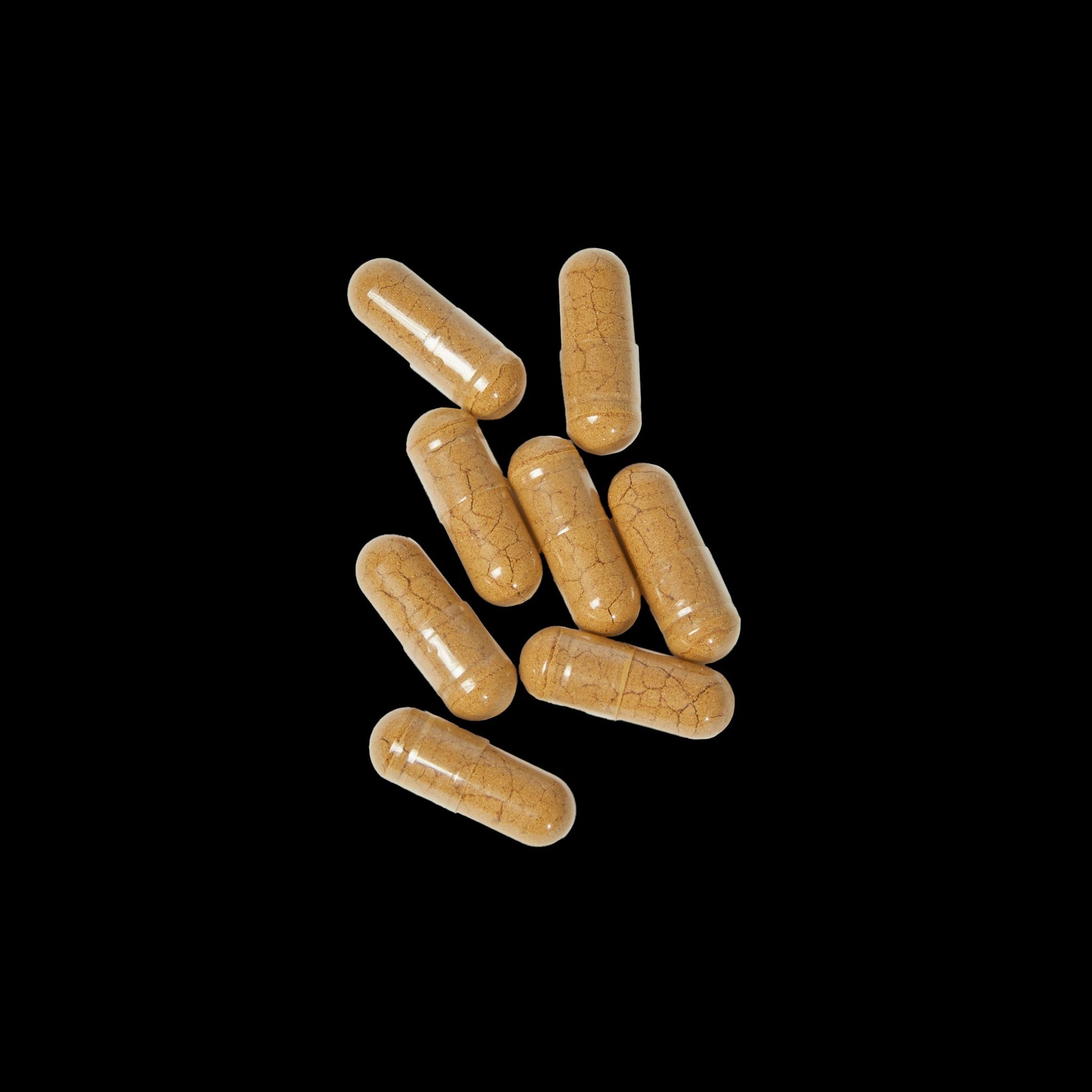 Explicit Energy Mushroom Blend Supplement: Immune & Cognitive Support (60 Capsules)